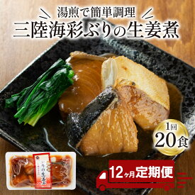 【ふるさと納税】 【 定期便 12ヶ月 】 ぶり 生姜煮 計240パック ( 20パック × 12回 ) ブリ 鰤 惣菜 常備食 常温保存可能 電子レンジ 簡単調理 レトルト 常温 三陸海彩 簡単調理のお惣菜