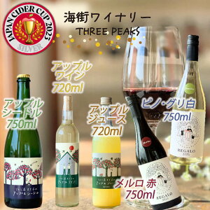 yӂ邳Ɣ[Łz ԃC C AbvV[h AbvC 6{ Zbg ܂ C Zbg wine wainn {h[ `[Y OX Y Dn hC Mtg i 蕨 
