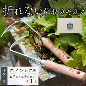yӂ邳Ɣ[Łz XeX  JMJ} 2{Zbg Iׂ p Ep    K[fjO |   | { | b艮 