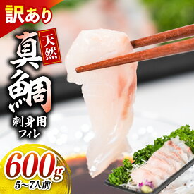 【ふるさと納税】 訳あり 真鯛 刺身 600g 天然 フィレ 鯛 たい マダイ 真タイ 魚 魚介 刺身 お刺身 冷凍 しゃぶしゃぶ 鯛しゃぶ 焼き物 鯛めし 鯛茶漬け ムニエル 天ぷら 焼き魚 寿司 刺し身 小分け ご飯 おかず 三陸産 岩手県 大船渡市