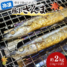 【ふるさと納税】 【数量限定】極小 さんま 2kg 1kg×2袋 冷凍 サンマ 秋刀魚 こぶり 骨まで食べられる