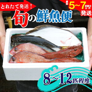 yӂ邳Ɣ[Łz N { lꂽ Zbg Iׂe N CN L  y CJ hg  Dn lߍ킹 N{bNX    C̍K  FISH BBQ ͂ [ 
