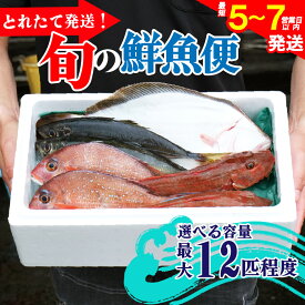 【ふるさと納税】 鮮魚 旬 獲れたて セット 選べる容量 鮮魚便 海鮮 魚貝類 魚介類 牡蠣 イカ 刺身 岩手 大船渡 詰め合わせ 鮮魚ボックス さかな おさかな 魚 海の幸 福袋 FISH BBQ ごはん 夕飯 おかず おつまみ 晩酌 米 丼 三陸産 岩手県 大船渡市