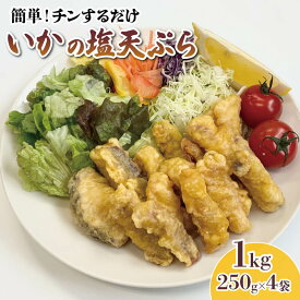 【ふるさと納税】 イカ 塩 天ぷら 1kg 250g×4袋 小分け いか 惣菜 簡単調理 お弁当