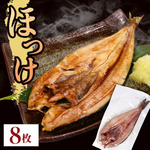yӂ邳Ɣ[Łz ^ق銱 8 ^pbN Ⓚ t  ق zbP  [  Dn O 茧 Y