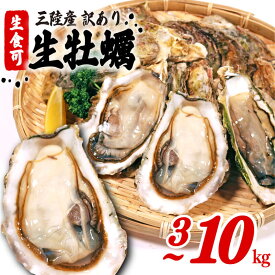 【ふるさと納税】 [3kg/6kgはスピード配送] 訳あり 牡蠣 冷凍 3kg/5kg/6kg/10kg 生食可 かき カキ 岩手県産 殻付き 生食 新鮮 濃厚 わけあり 大きさ 不揃い 三陸 産 カンカン焼き バーベキュー 鍋 キャンプ 貝 レビュー 高評価 岩手県 大船渡市 送料無料 10000円 すぐ 届く