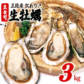 【ふるさと納税】 [3kg/6kgはスピード配送] 訳あり 牡蠣 冷凍 3kg/5kg/6kg/10kg 生食可 かき カキ 岩手県産 殻付き 生食 新鮮 濃厚 わけあり 大きさ 不揃い 三陸 産 カンカン焼き バーベキュー 鍋 キャンプ 貝 レビュー 高評価 岩手県 大船渡市 送料無料 10000円 すぐ 届く