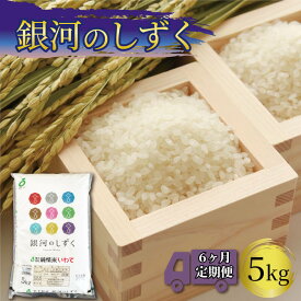 【ふるさと納税】 米 定期便 5kg 6か月 計30kg 一等米 銀河のしずく お米 ご飯 白米 おにぎり精米 定期便 6回 岩手県産 岩手米 東北米 岩手 東北 国産 54000円