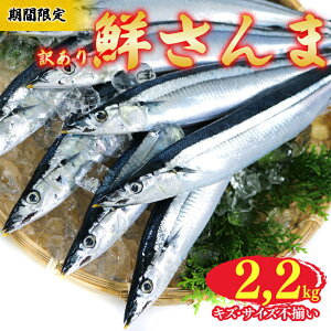 yӂ邳Ɣ[Łz yԌz 󂠂 N 2.2kg ① T} H { CN L  Yn VN  Ă O   Dns