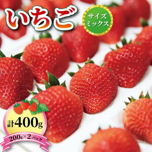 yӂ邳Ɣ[Łz  1 400g ( 200g × 2 ) 6`12͂ i킨܂ t[c ʕ  C`S Ȃ MBS8-9 Ă̂ Ă̋P  AX^[ Ă OY Dn 