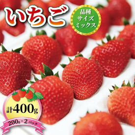 【ふるさと納税】 いちご 2種 400g (200g×2)1~5月お届け フルーツ 果物 苺 イチゴ