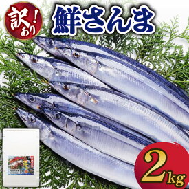 【ふるさと納税】 【訳あり】 秋刀魚 約2kg 冷蔵 [発送:2025年9月〜2025年11月末] さんま 生さんま 鮮さんま 鮮魚 ふるさと納税 不揃い 生サンマ 規格外 魚 焼き魚 旬 産地直送 季節 限定 海鮮 大船渡 三陸三陸 岩手 大船渡市 10000円