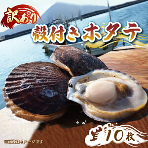 yӂ邳Ɣ[Łz Y 󂠂 kt z^e 10 ق  CN L  H {B   o[xL[ BBQ  AW Jpb` tC  O t t