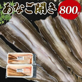 【ふるさと納税】 あなご開き 2〜3パック ( 計800g ) 冷凍 あなご 穴子 アナゴ 蒲焼 白焼き お吸い物 天ぷら 煮穴子 和食 海産物 味噌汁 ごはん 夕飯 おかず 土用の丑の日 うなぎ 土用の丑 大船渡 三陸 岩手県 国産
