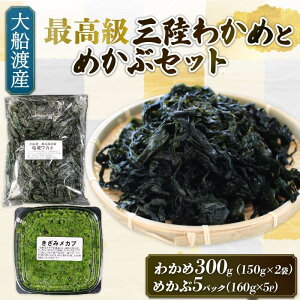 【ふるさと納税】 めかぶセット 塩蔵 わかめ 300g (150g×2袋) 選べる容量 めかぶ640g〜800g (160g×4〜5パック) 海鮮 海藻 わかめ ワカメ 魚貝類 魚介類 みそ汁 スープ 酢の物 小分け 三陸産 岩手県 大