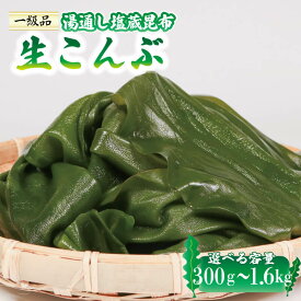 【ふるさと納税】 〈 内容量が選べる 〉 塩蔵 生こんぶ 300g～1.6kg コンブ 昆布 海藻 煮物 おでん 味噌汁 サラダ おかず 出汁 ダシ だし 和食 三陸産 5000円 5千円 10000円 1万円 岩手県 大船渡市