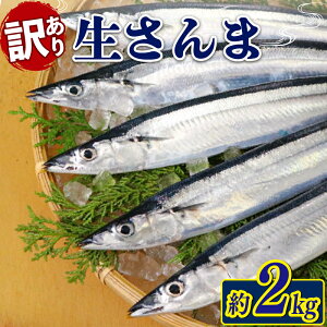 yӂ邳Ɣ[Łz 󂠂  2kg [ 9{`11] N   T} { G H Ԍ Gߌ ʌ O 茧 Dn 茧Dns