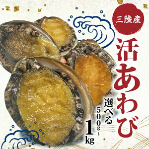 yӂ邳Ɣ[Łz  Iׂ 500g 1kg   Ar ڈ΂  ① Abalone Xe[L o^[\e[ hg hg  o[xL[ BBQ ͂ ܂ ӎ   CY 