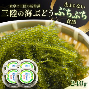 yӂ邳Ɣ[Łz O CԂǂ 240g (60g×4p) Gߌ v`v`H  Ԃǂ E~uhE VN  hg hg hg yY T_ ܂ C O[LrA ͂ [ 