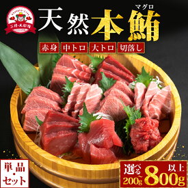 【ふるさと納税】 【スピード発送】 天然本マグロ 赤身 中トロ 大トロ 切り落とし 訳あり 数量限定 小分け まぐろ トロ 刺身 さしみ 刺し身 鮮魚 まぐろ赤身 鮪 魚介 魚 マグロ 漬け ユッケ 海鮮丼 国産 天然まぐろ 高級 天然 人気 寿司 本鮪 冷凍 三陸 大船渡 岩手 ギフト