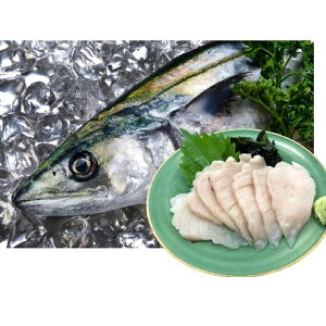 さわら 魚の人気商品 通販 価格比較 価格 Com