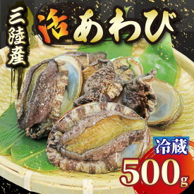 【ふるさと納税】 活エゾアワビ 約500g 冷蔵 鮑 蝦夷あわび 活あわび あわび アワビ 鮑 Abalone ステーキ 正月 お正月 おせち 刺し身 刺身 バーベキュー BBQ ごはん 夕飯 おかず おつまみ 晩酌 米 丼 海産物 海鮮 魚介 魚介類 贈答品 お中元 お歳暮 大船渡 三陸 岩手県 国産