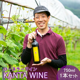 【ふるさと納税】ロースラー ワイン KANTA WINE2024(赤) 750ml×1本 かんたわいん かんたはうす 赤ワイン 花巻市 大迫 地域おこし協力隊