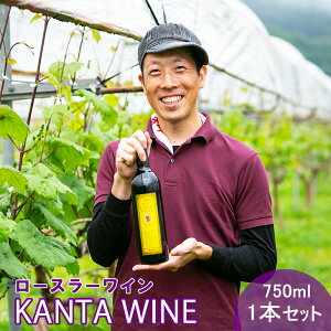 yӂ邳Ɣ[Łz[X[ C KANTA WINE2024() 750ml×1{ 񂽂킢 񂽂͂ ԃC Ԋs 唗 n您͑