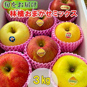 yӂ邳Ɣ[Łzss\typz{̂񂲁E܂~bNXIy6`8izԊY3kg@Tӂ VimS[h 喲 ̍ ͂邩 ނ  ӂ邳Ɣ[ 