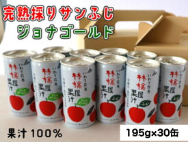 【ふるさと納税】 宇津宮果樹園の林檎屋果汁りんごジュース30缶セット