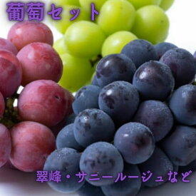 【ふるさと納税】花巻堪能 葡萄セット ぶどう お楽しみ
