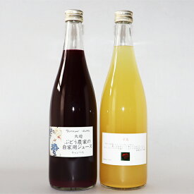 【ふるさと納税】ぶどうジュース・りんごジュースセット（720ml）2本