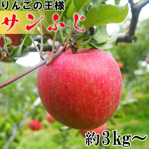 yӂ邳Ɣ[Łz\t񂲂̉lTӂ󂠂聄 3kg 5kg ƒp KiO ӂ邳Ɣ[ 