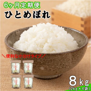 yӂ邳Ɣ[Łzy6ցzߘa7NY ԊYЂƂ߂ڂ8kgi2kg×4܁j  ߘa7NY 2025NY ӂ邳Ɣ[  