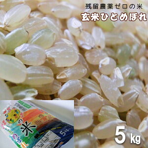農薬アレルギーの方でも安心！「残留農薬０の米」玄米ひとめぼれ５kg