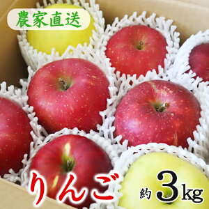 yӂ邳Ɣ[ŁzԊY ~bNX p lߍ킹i3kgj ӂ邳Ɣ[ 