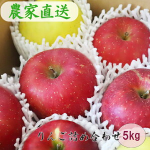 yӂ邳Ɣ[Łz ~bNX pi5kgj lߍ킹 ӂ邳Ɣ[ 