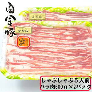 yӂ邳Ɣ[Łz؂Ԃ5lO(o500g×2pbN)  ؓ v`i|[N uh