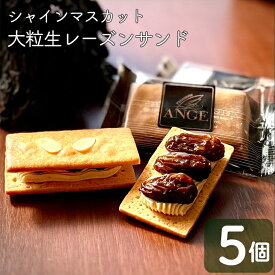 【ふるさと納税】プレミアム大粒生レーズンサンド　（シャインマスカット） お菓子 スイーツ クッキー 冷凍発送 バターサンド ぶどう クッキー 新着 バレンタイン ホワイトデー 母の日 プレゼント ギフト