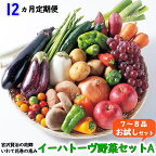 《定期便12ヶ月》 ふるさと納税 野菜 定期便 イーハトーヴ野菜A お試しセット 12回(7～8品) 詰め合わせ 旬 冷蔵