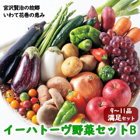【ふるさと納税】いわて花巻産 イーハトーヴ野菜B 満足セット (9～11品) 旬 野菜 果物 お楽しみ 詰め合わせ