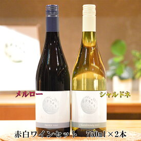 【ふるさと納税】メルロー ＆ シャルドネ アールペイザンワイナリー 赤白 ワインセット 750ml×2本 赤ワイン 白ワイン ギフト 花巻市 岩手県