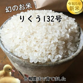 【ふるさと納税】＜予約受付～11月より発送開始＞無農薬 お米 合鴨農法で育てたひばり農園 令和5年産 新米 白米5kg りくう132号