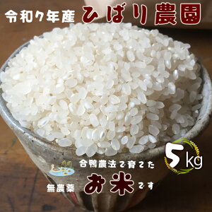 �y�ӂ邳�Ɣ[�Łz���_�� ���� �����_�@�ň�Ă��Ђ΂�_�� �ߘa7�N�Y ����5kg �肭��132��