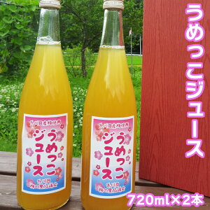 yӂ邳Ɣ[ŁzyYsgpz߂W[Xi720ml×2{Zbgj