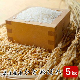 【ふるさと納税】【令和7年産】岩手県産 ひとめぼれ 5kg 岩手県 花巻産 2025年産 米