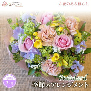 yӂ邳Ɣ[Łzy3ցzG߂̂܂t[AWg X^_[h ӂ邳Ɣ[   v[g 蕨 bZ[Wt zBw\ V