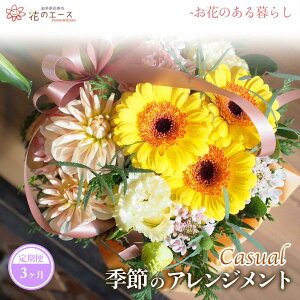 yӂ邳Ɣ[Łzy3ցzG߂̂܂t[AWg JWA  v[g 蕨 bZ[Wt zBw\ V
