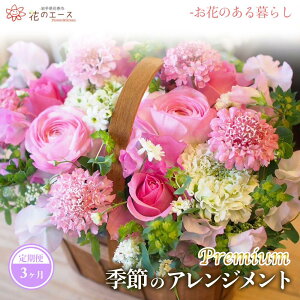 yӂ邳Ɣ[Łzy3ցzG߂̂܂t[AWg v~A  v[g 蕨 bZ[Wt zBw\ V