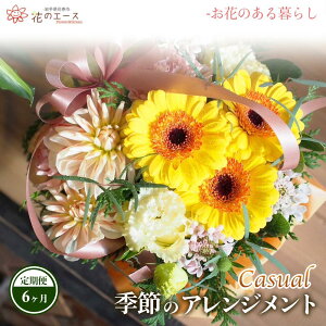 yӂ邳Ɣ[Łzy6ցzG߂̂܂t[AWg JWA  v[g 蕨 bZ[Wt zBw\ V